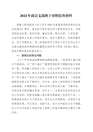 2024年商会支部班子对照检查材料