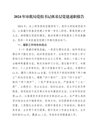 2024年审批局党组书记抓基层党建述职报告