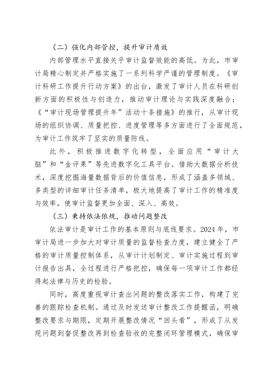 2024年市审计局工作总结及2025年工作计划_第2页