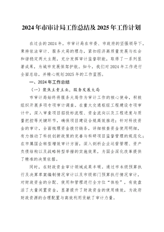 2024年市审计局工作总结及2025年工作计划