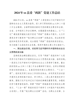 2024年县委“两新”党建工作总结