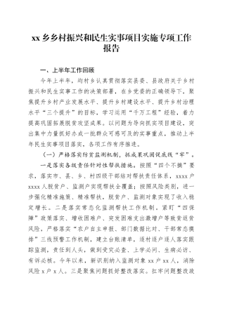 2024年乡乡村振兴和民生实事项目实施专项工作报告