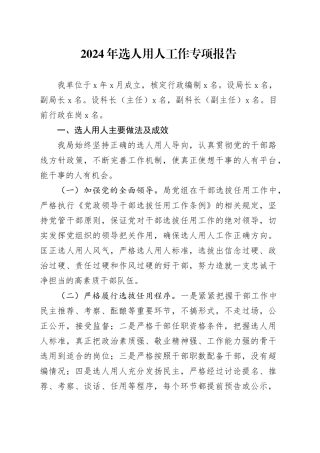 2024年选人用人工作专项报告