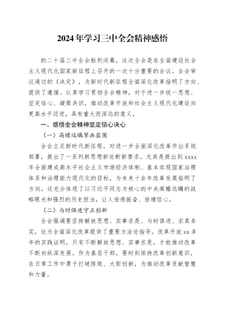 2024年学习三中全会精神感悟