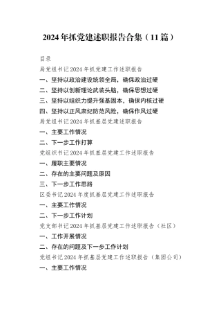 2024年抓党建述职报告合集（11篇）（2）