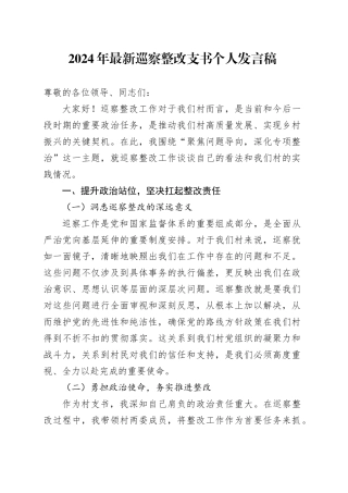 2024年最新巡察整改支书个人发言稿