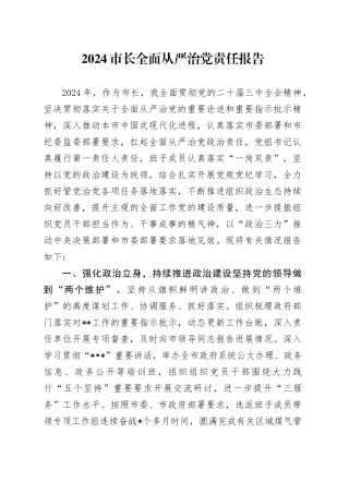 2024市长全面从严治党责任报告