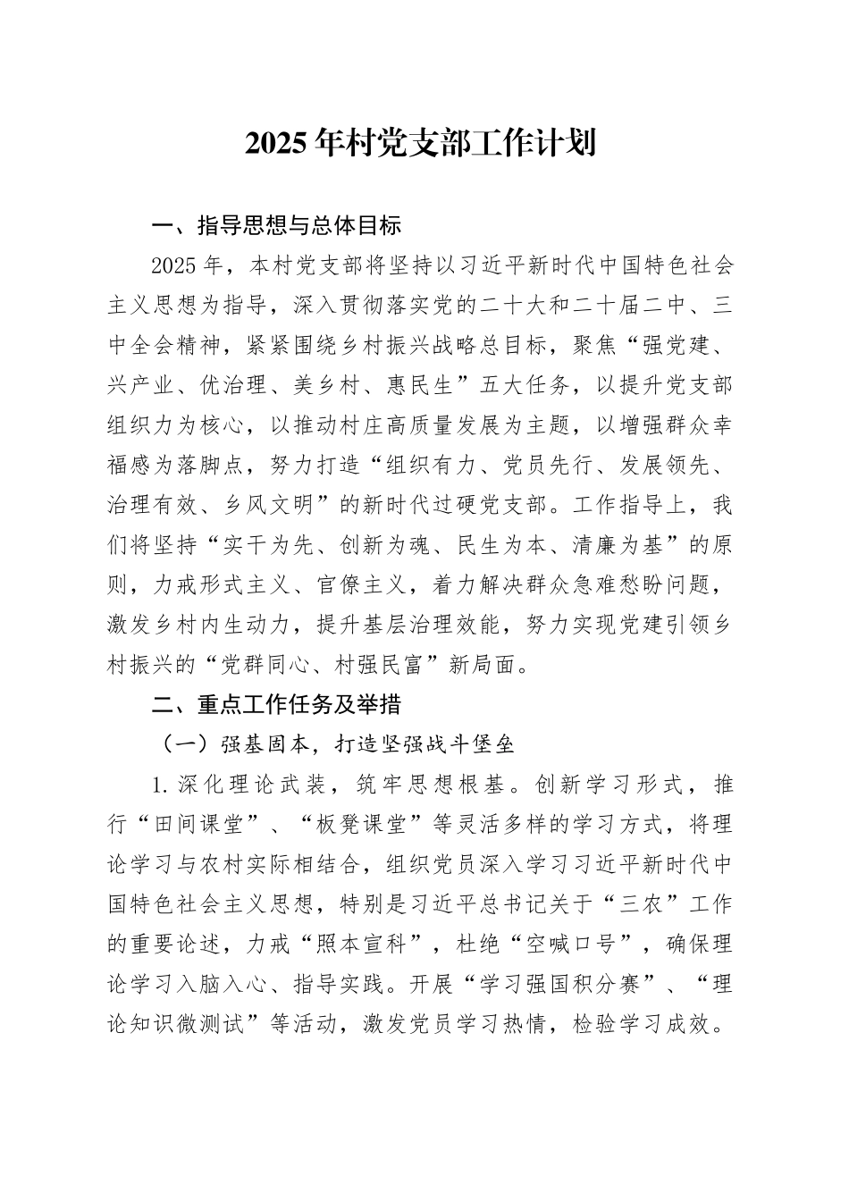 2025年村党支部工作计划_第1页