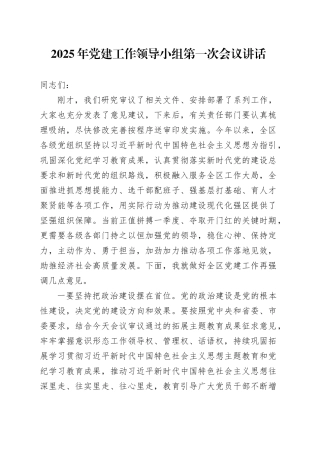 2025年党建工作领导小组第一次会议讲话20250226