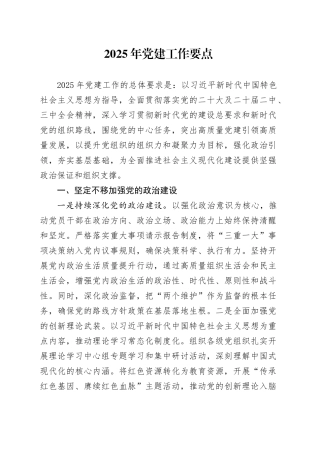 2025年党建工作要点