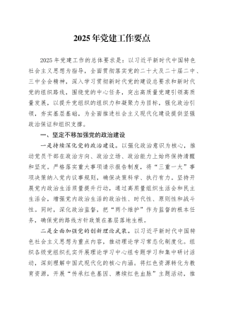 2025年党建工作要点20241218