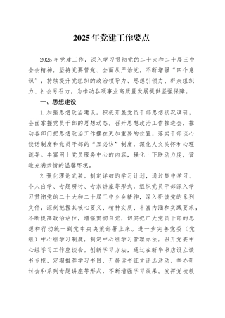 2025年党建工作要点计划20250212