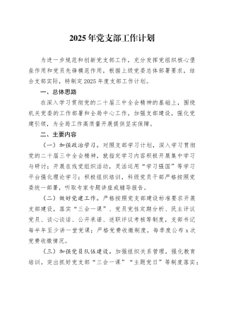 2025年党支部工作计划