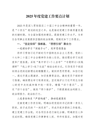 2025年度党建工作要点计划