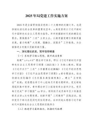 2025年局党建工作实施方案