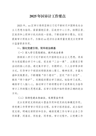 2025年区审计工作要点