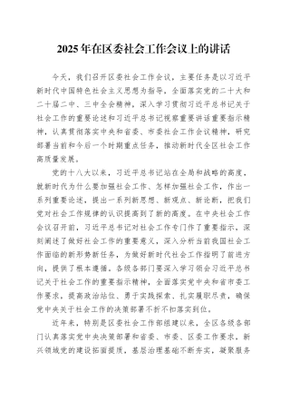 2025年在区委社会工作会议上的讲话20250226