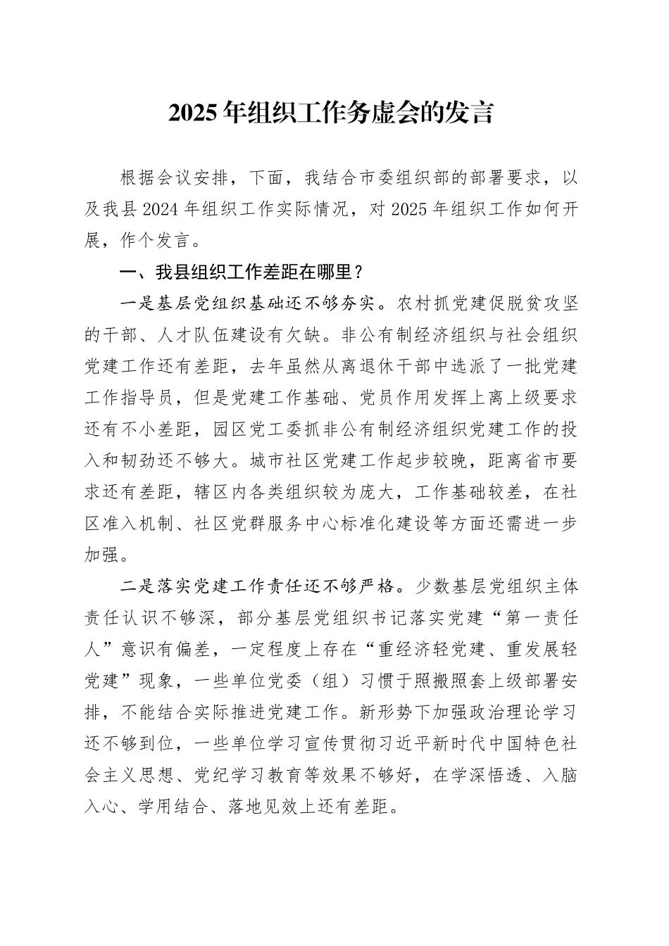 2025年组织工作务虚会的发言_第1页