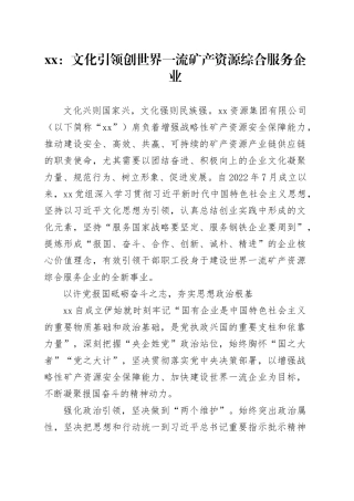 xx：文化引领创世界一流矿产资源综合服务企业
