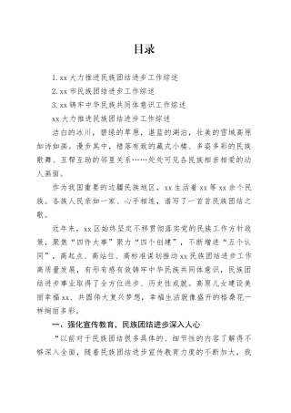 xx大力推进民族团结进步工作综述