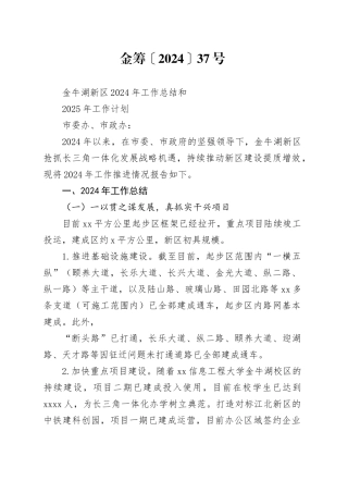 XX新区2024年工作总结和2025年工作计划