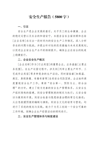 安全生产报告（5800字）