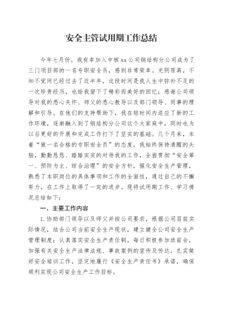 安全主管试用期工作总结