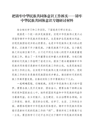 把铸牢中华民族共同体意识工作抓实——铸牢中华民族共同体意识专题研讨材料