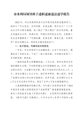 班子述职市水利局领导班子述职述廉述法述学报告范文工作汇报总结述责述廉