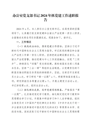办公室党支部书记2024年抓党建工作述职报告20241211
