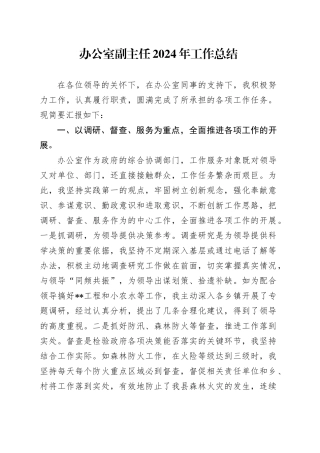 办公室副主任2024年工作总结