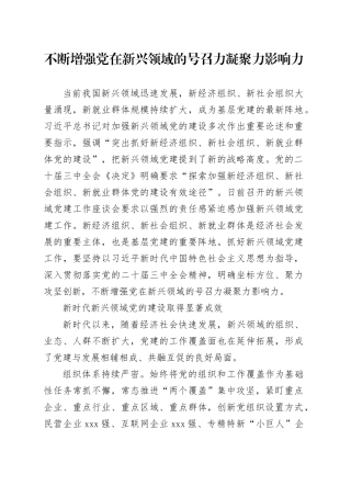不断增强党在新兴领域的号召力凝聚力影响力