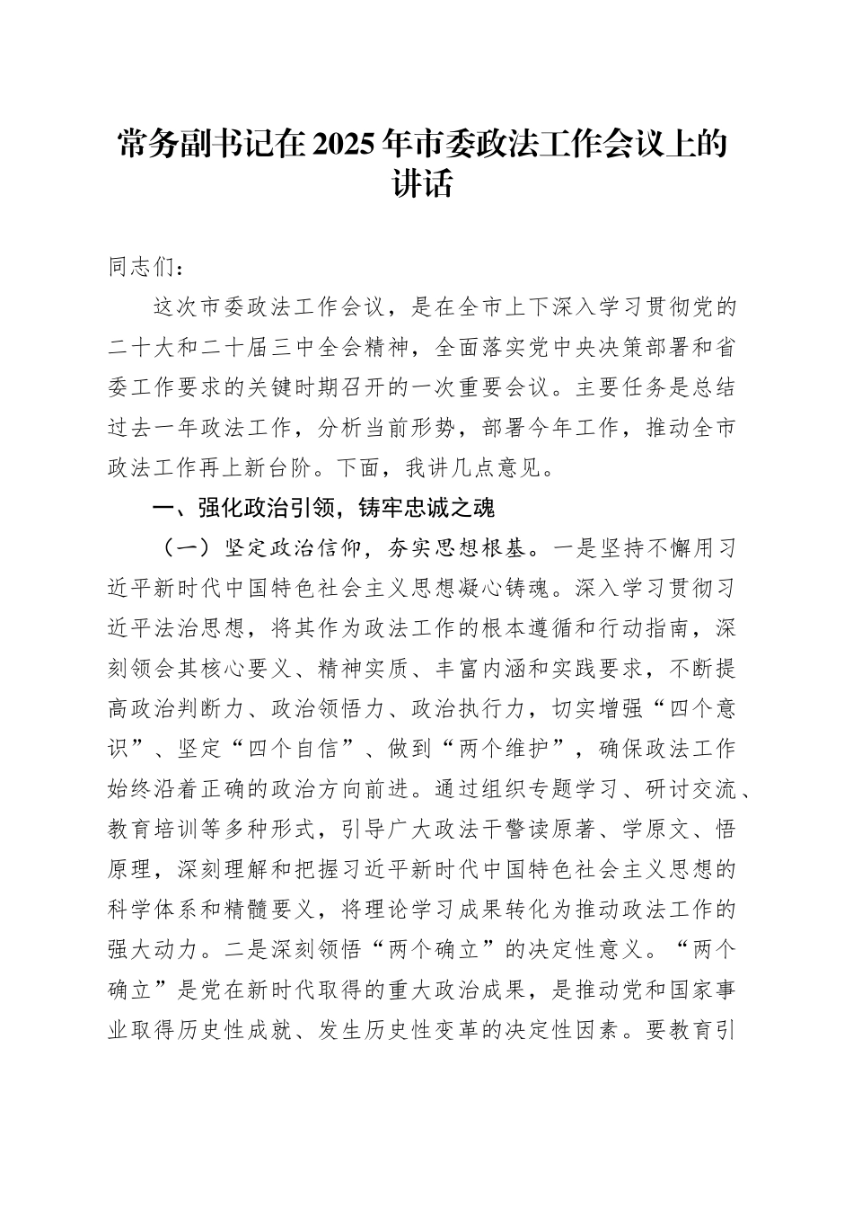 常务副书记在2025年市委政法工作会议上的讲话_第1页