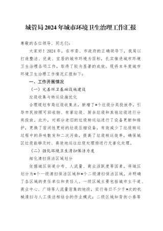 城管局2024年城市环境卫生治理工作汇报