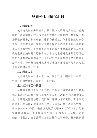 城建科工作情况汇报（20241231）