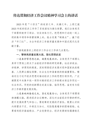 传达贯彻经济工作会议精神学习会上的讲话20250212
