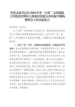 村党支部书记在2024年乡“五星”支部创建工作推进会暨壮大集体经济助力乡村振兴现场观摩会上的交流发言