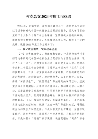 村党总支2024年度工作总结