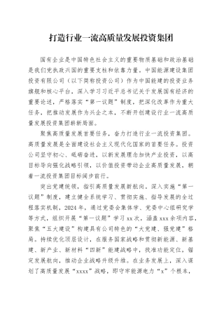 打造行业一流高质量发展投资集团