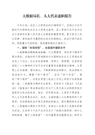 大数据局长、人大代表述职报告