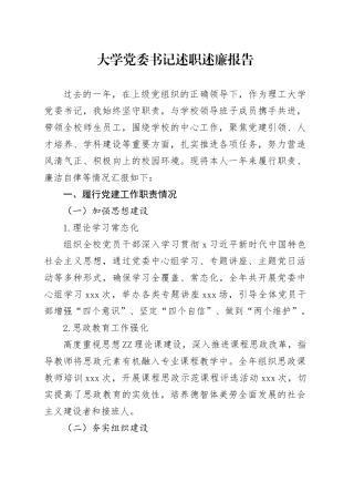 大学党委书记述职述廉报告