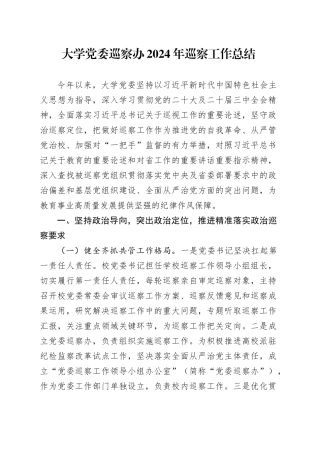 大学党委巡察办2024年巡察工作总结