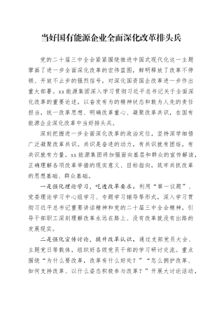 当好国有能源企业全面深化改革排头兵