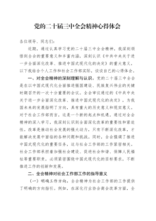 党的二十届三中全会精神心得体会 （4）
