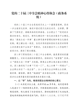 党的二十届三中全会精神心得体会（政务系统）