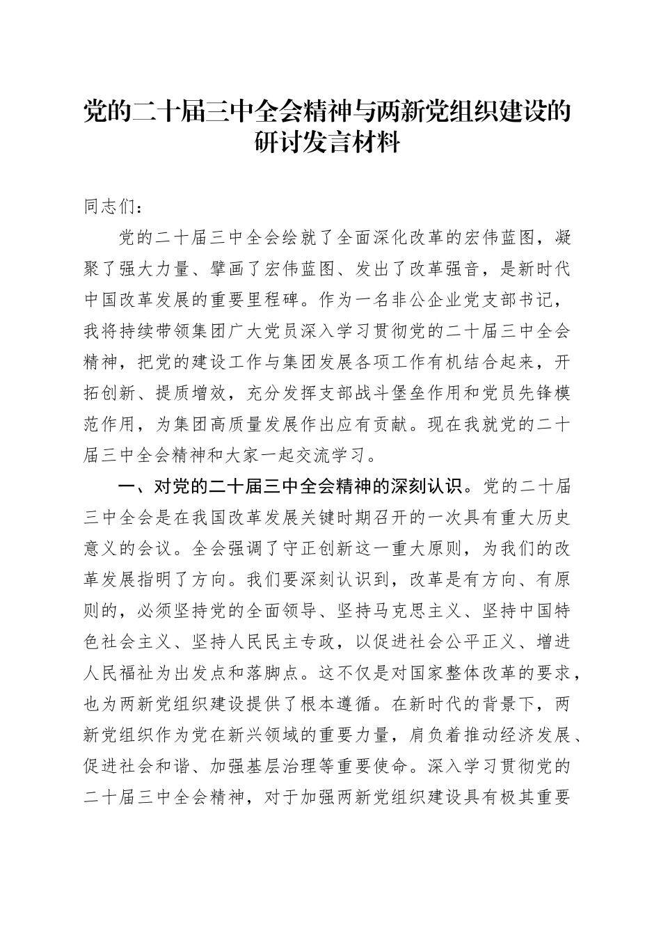 党的二十届三中全会精神与两新党组织建设的研讨发言材料_第1页