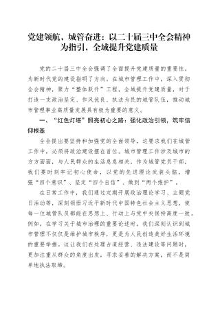 党建领航，城管奋进：以二十届三中全会精神为指引，全域提升党建质量