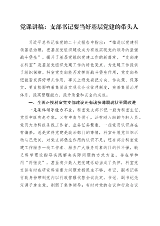 党课讲稿：支部书记要当好基层党建的带头人20241211