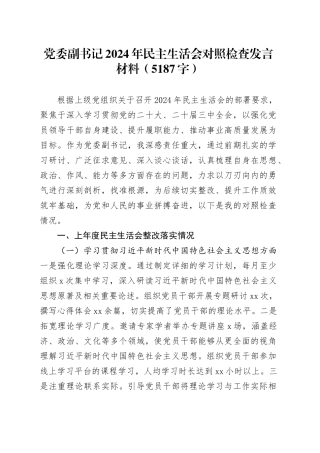 党委副书记2024年民主生活会对照检查发言材料（5187字）