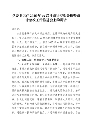 党委书记在2025年XX联社审计模型分析暨审计整改工作推进会上的讲话